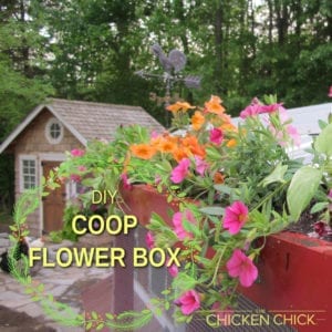 DIY Chicken Coop Flower Box | The Chicken Chick®