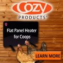 Cozy-Products-600-x-600-new-chicken-chick-ad-e1526561356568.jpg