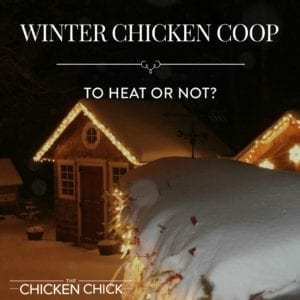 Whether to Heat the Chicken Coop or Not?