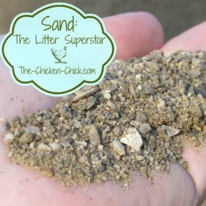 Sand The Chicken Coop Litter Superstar
